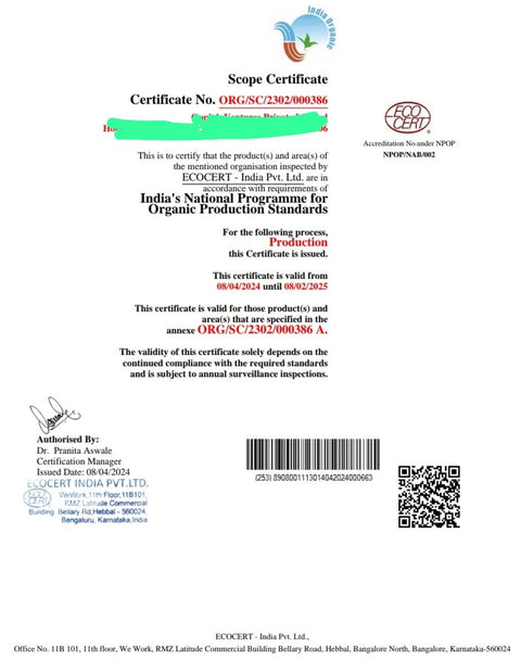 Mango Dudhia Malda (Certified Organic) Pack of 3