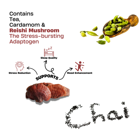 Red Reishi Calm Chai+