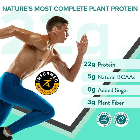 Wellbeing Nutrition Superfood Plant Protein - British Banoffee Pie 500g