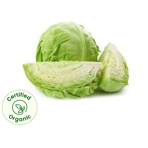 Cabbage (Certified Organic)