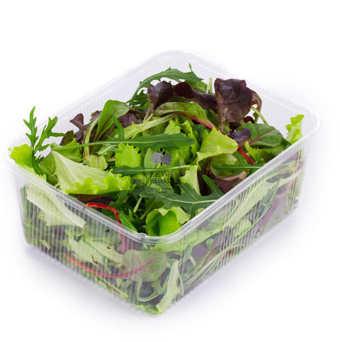 Salad Mix (Hydroponically Grown) (B1G1)