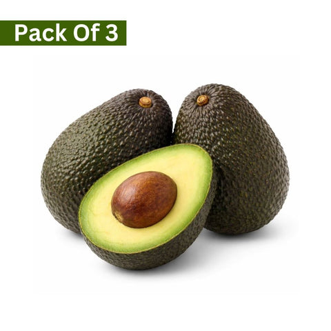 Hass Avocado from New Zealand (Pack of 3)