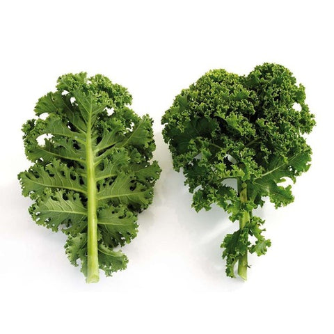 Kale (Hydroponically Grown)