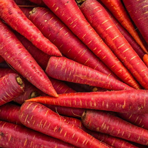 Carrot Red  (Naturally Grown)
