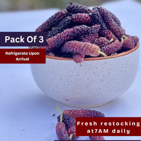 Mulberry Red (shahtoot) (Pack of 3)