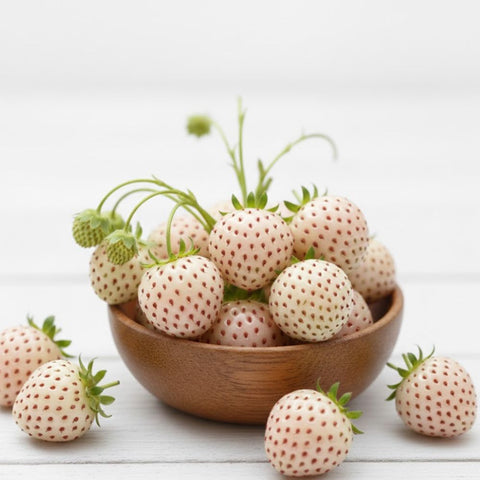 Pineberry-White Pearl