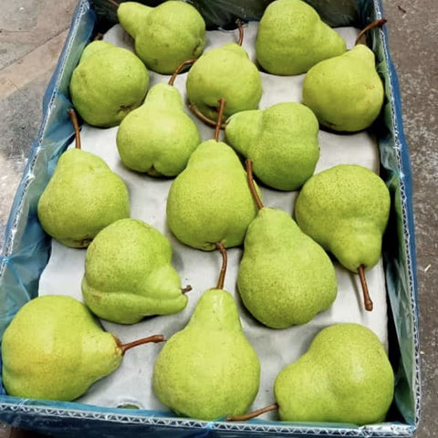 Pekham Pear from South Africa