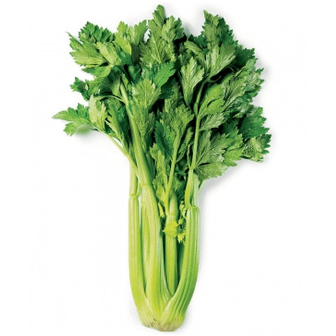 Celery leaves (Naturally Grown)
