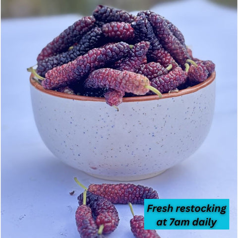 Mulberry Red (shahtoot)