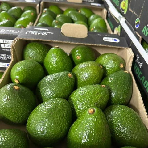 Hass Avocado Imported