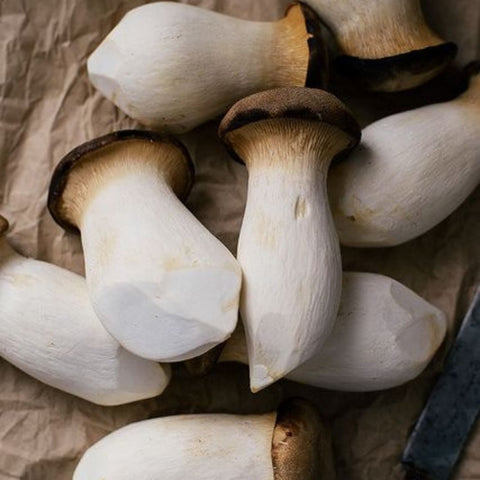 King Oyster Imported Mushrooms