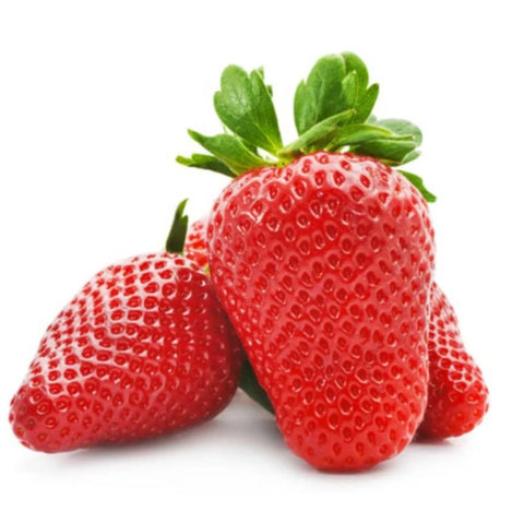 Organic Strawberries from Mahabaleshwar