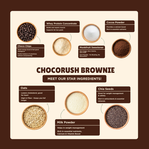 Everyday Protein Oats | ChocoRush Brownie | Pack of 1