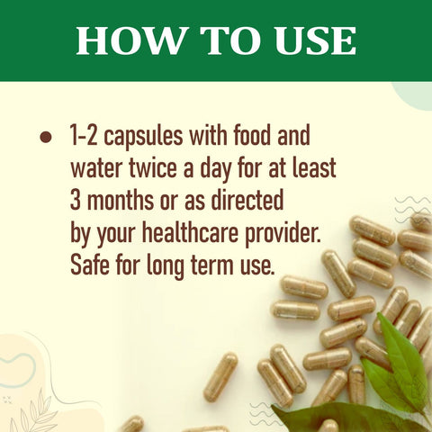 Organic Wellness Brahmi+ 90 Capsules