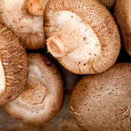 Shiitake From Thailand