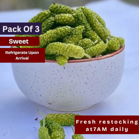 Mulberry Green (shahtoot) (Pack of 3)