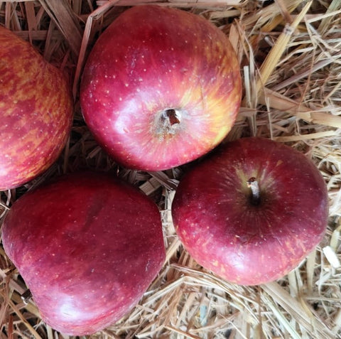 Apple Kinnaur (Certified Organic)