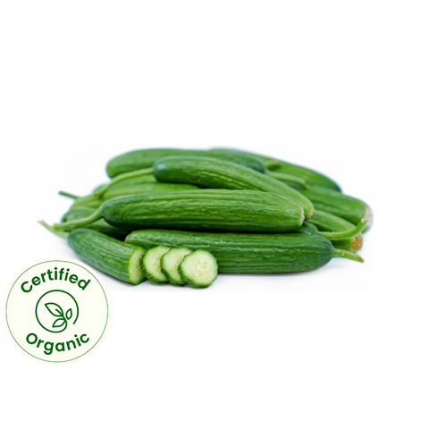 Cucumber Seedless (Certified Organic)