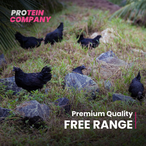 Kadaknath eggs Pack of 5