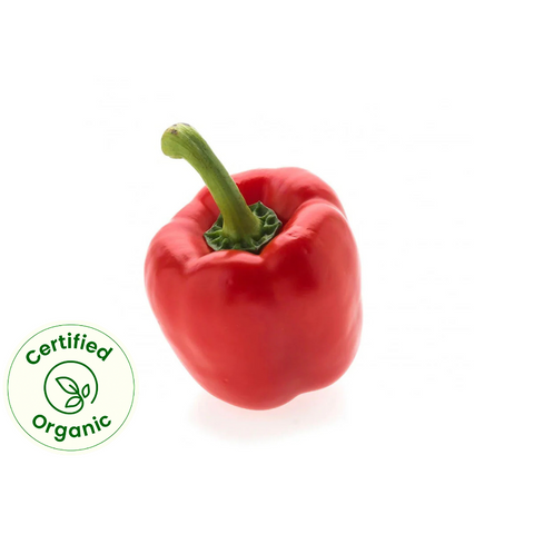 Capsicum Red (Certified Organic)