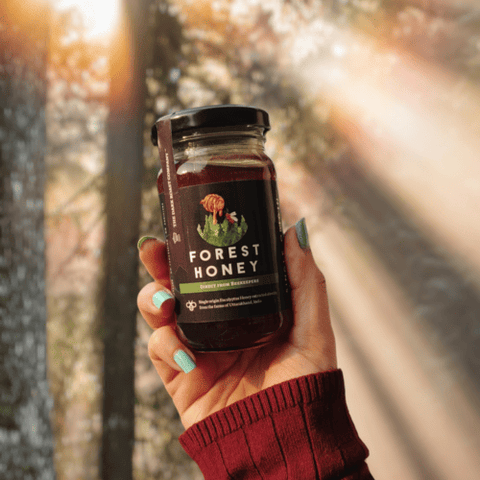100% Organic Forest Honey