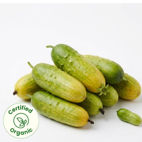 Cucumber desi 500 gm (Certified Organic)