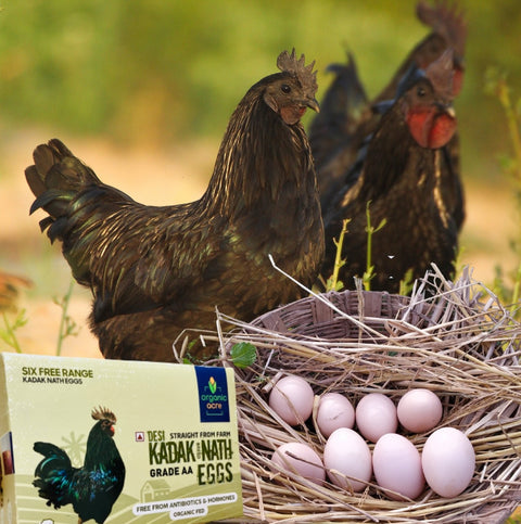 Organic Kadaknath Eggs