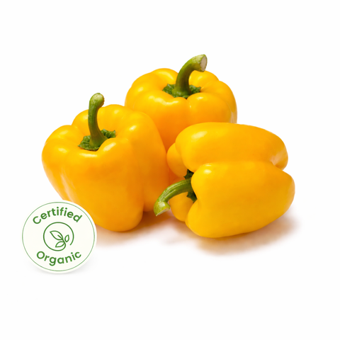 Capsicum Yellow (Certified Organic)