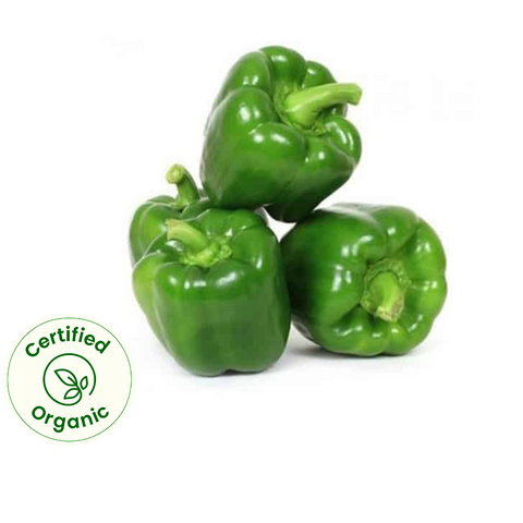 Green Capsicum (Certified Organic)