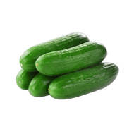 f539fa5a-be8c-468e-a8c3-3bf5808bf066.jpeg
