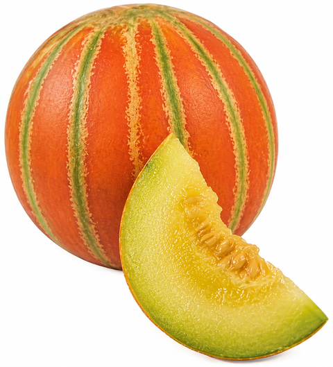 Muskmelon