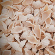 Conchiglie - Wholewheat & Semolina (Eggless)