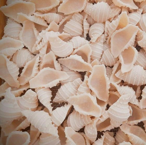 Conchiglie - Wholewheat & Semolina (Eggless)
