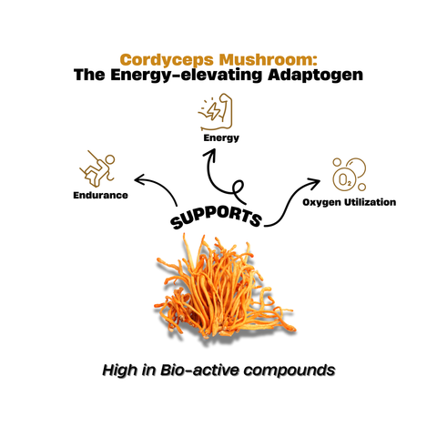 Cordyceps Drops