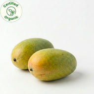 Dussehri Mango Certified Organic 6 pc