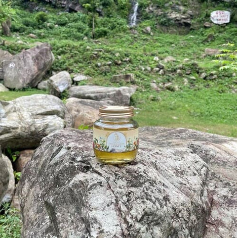 Himalayan Chichri Honey